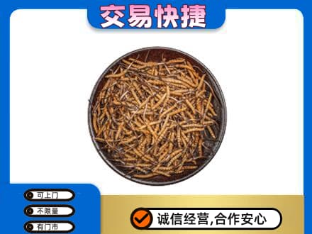 宁德寿宁县礼品回收虫草.jpg